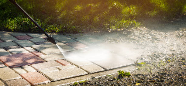 Best Gutter Cleaning  in Tatum, TX